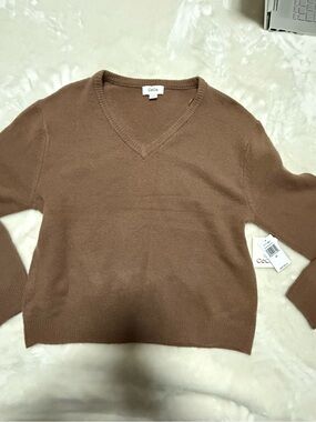 CeCe V-Neck Pullover Sweater in Chestnut Brown